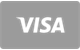 Visa — carte bancaire acceptée sur RingoSpin Casino